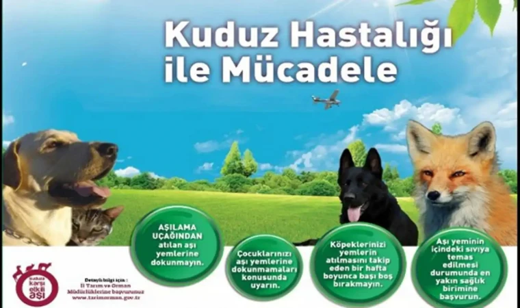 Malatya’da havadan kuduz aşılaması yapıldı