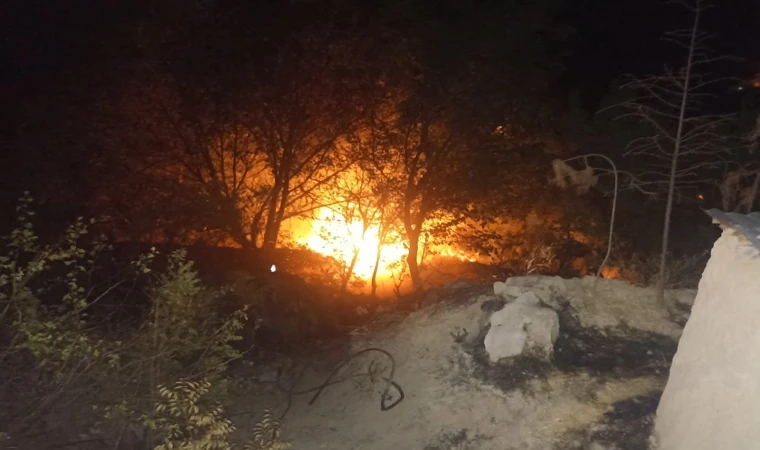 Darende’de Korkutan Yangın: Bahçe Alevlere Teslim Oldu