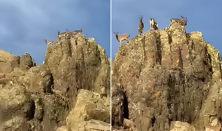 Malatya Doğal Yaşamı Koruyan Bir Şehir