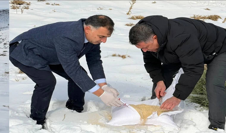 Yeşilyurt Belediyesi’nden Yaban Hayvanları İçin Kış Desteği