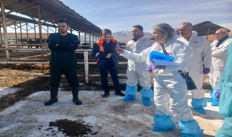 Akçadağ’da TİGEM Sultansuyu İşletmesi’nde Şap Hastalığı Alarmı