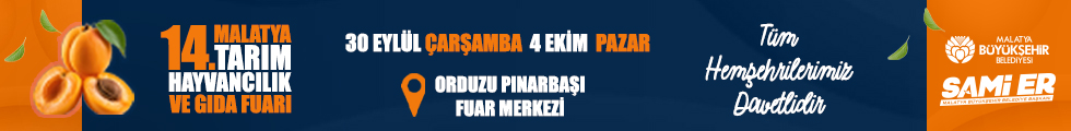 Büyükşehir