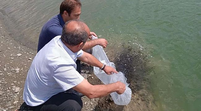 Malatya'daki göletlere 120 bin yavru balık bırakıldı 