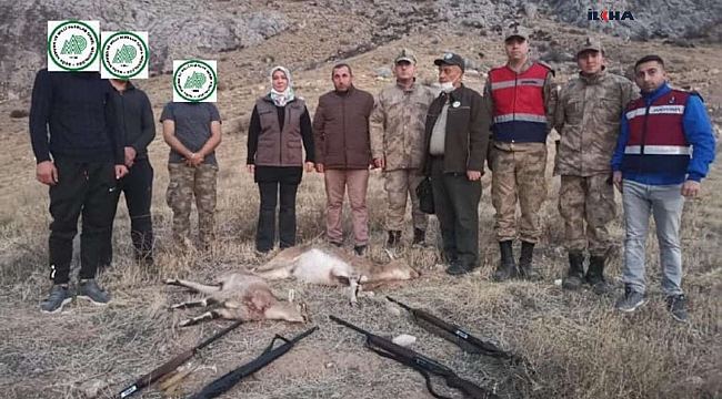Malatya’da yaban keçilerini avlayan 4 kişi silahlarıyla birlikte yakalandı