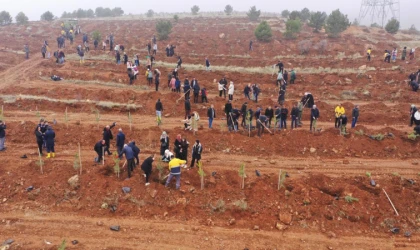 İnönü Üniversitesinde ağaç dikme etkinliği düzenlendi