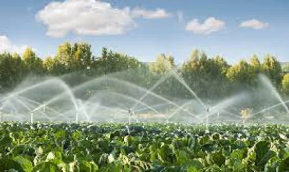 Çiftçilerin 2023 yılı sulama ücretinin yarısı devlet tarafından karşılanacak