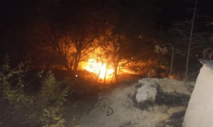 Darende’de Korkutan Yangın: Bahçe Alevlere Teslim Oldu