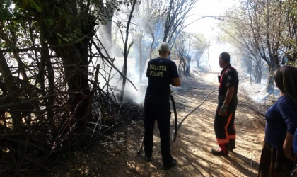 Kontrolsüz Çöp Yakma Meyve Bahçelerinde Büyük Hasara Yol Açtı