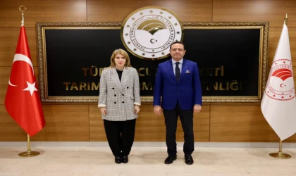 Bakan Yardımcısı Gizligider ile görüşen Ölmeztoprak, üreticinin taleplerini iletti