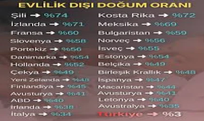 Evlilik Dışı Doğan Bebeklerin Oranı Dünyada Artıyor: Ülkeler Arası Farklar Dikkat Çekiyor