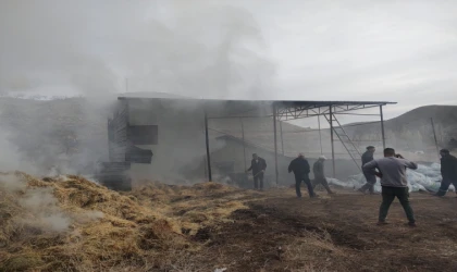 Malatya'da besi çiftliğinde yangın