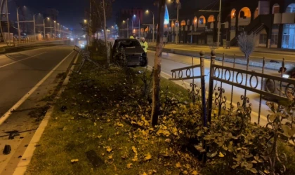 Sürücü, Köpeğe Çarpmamak İçin Direksiyonu Kırdı, Refüje Çıktı