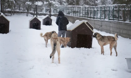 Battalgazi’de Malatya’nın İkinci Hayvan Barınağı Hizmete Başladı