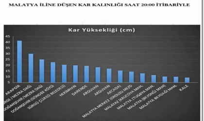 Malatya’da Kar Yağışı Etkili Oldu: Arapgir 40 Santimetreyle Zirvede
