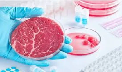 Bazı Ülkelerde Yapay Et ve Küresel Politikalar Tartışması: Sosyal Medyada Dikkat Çeken İddialar