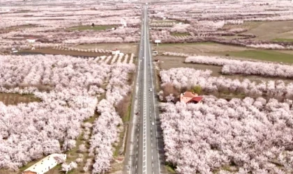 Kale’de Kayısı Ağaçları Çiçek Açtı, Umutlar Yeniden Yeşerdi