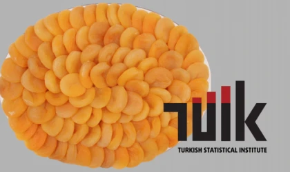 Kayısı Ve Zerdali Rekor Seviyede