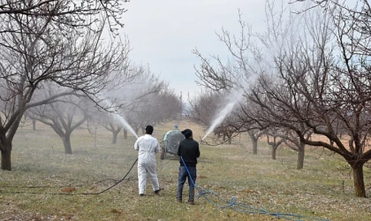 Malatya’da Kayısı Üreticilerine İlkbahar Uyarısı