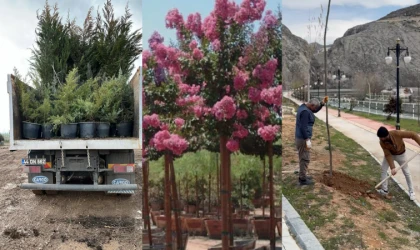 Darende’de 7 Bin 312 Fidan Toprakla Buluşturuldu