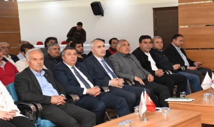 Kayısıda Don ve Kalıntı Kıskacı: İhracat İçin Kritik Uyarılar