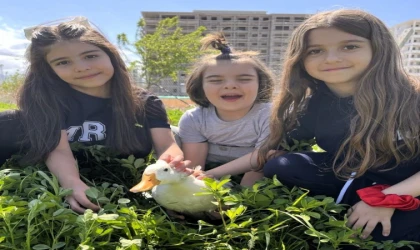 Okulda Şiddete Karşı Örnek Model: Mercan Koleji’nde Sevgi Temelli Eğitim