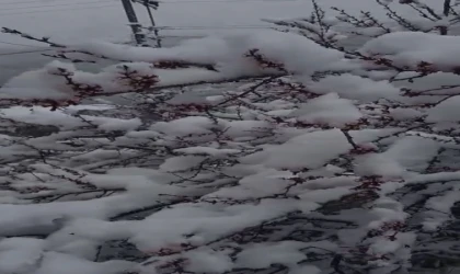 Sürgü’de Çiftçiler Zirai Don Nöbetinde