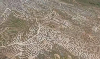 Doğanşehir Dağları İlmek İlmek İşleniyor: 200 Hektarlık Alan "Yeşil Vatan" Oluyor!