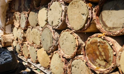 Pütürge’nin Zengin Florasında Bal Hasadı Başladı