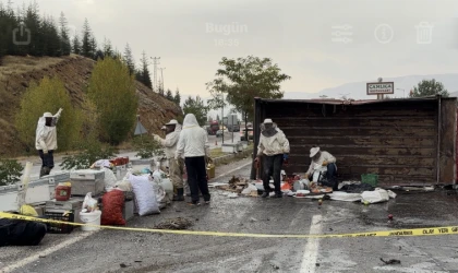 Malatya’da Arı Yüklü Kamyon Devrildi: 3 Yaralı