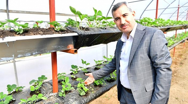 “Sağlıklı Bir Hayat İçin Dengeli Beslenip, Doğal Ürünler Tüketelim”