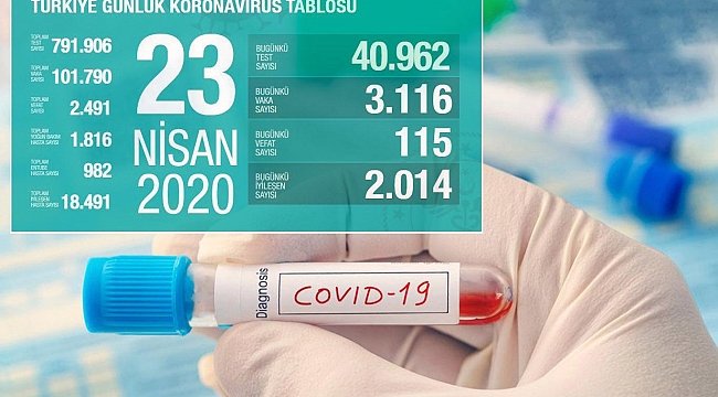 Türkiye'de Coronavirus nedeniyle can kaybı 115 artarak 2 bin 491'e yükseldi