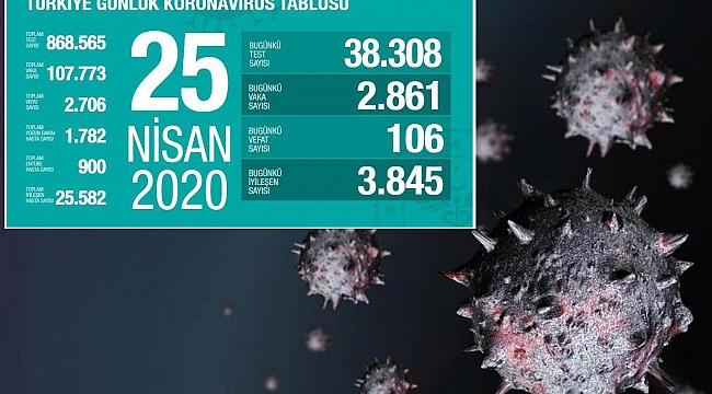 Türkiye'de Covid-19 nedeniyle can kaybı 2 bin 706'ya yükseldi