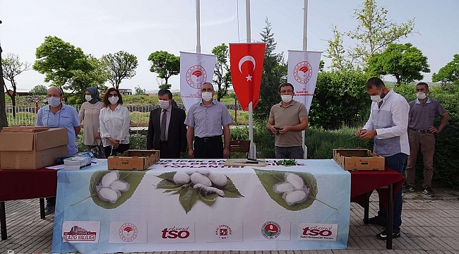 Elazığ'da ipekböceği yumurtası dağıtım töreni gerçekleşti