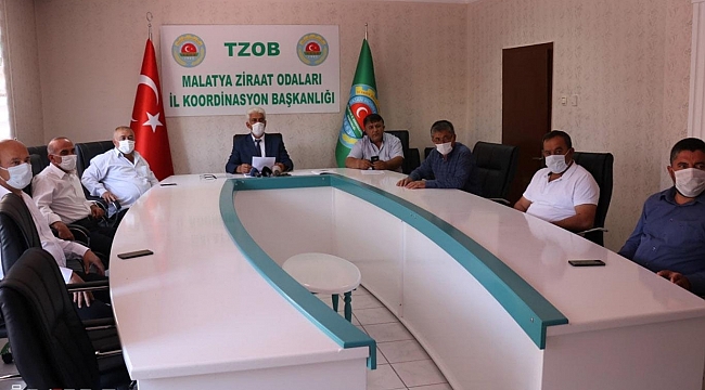 Malatya kayısısında bu yıl düşük rekolte bekleniyor