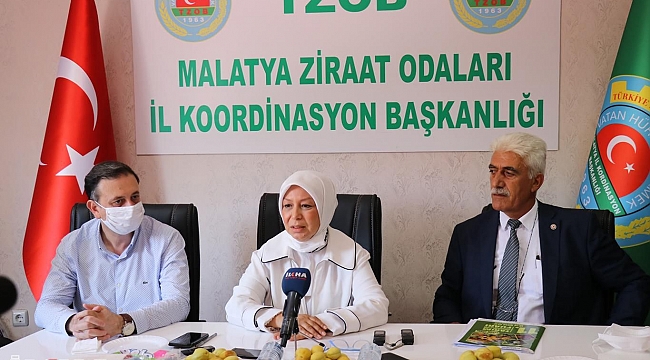 Malatya'da TMO'nun kayısı alımı başlıyor