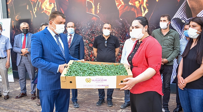 Dondan zarar gören Malatyalı çiftçilere sebze fidesi desteği
