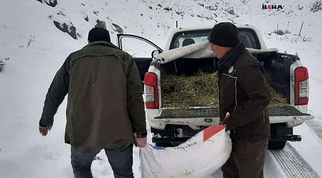 Yaban hayvanlarının aç kalmaması için doğaya yem bırakıldı 