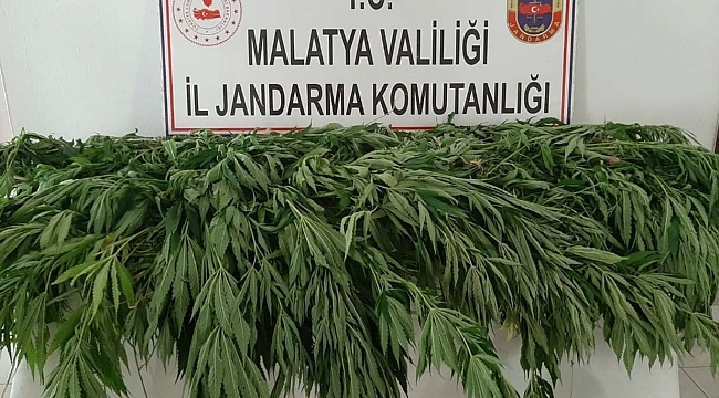 Malatya’da uyuşturucu operasyonu: 2 tutuklama 