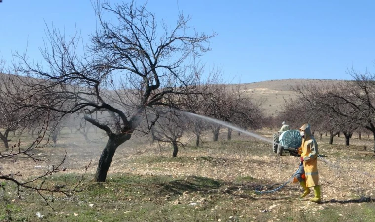 Malatya’da erken tomurcuklanan kayısı ağaçları endişelendirdi