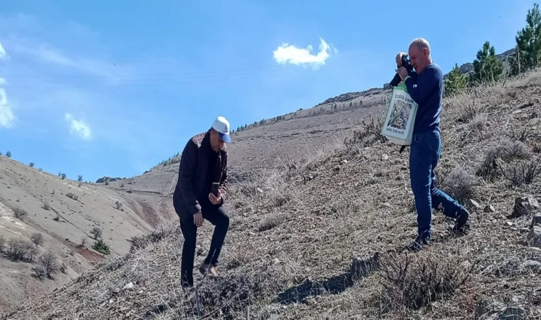 Elazığ’da 'Baskil ters lalesi' izleme çalışması yapıldı