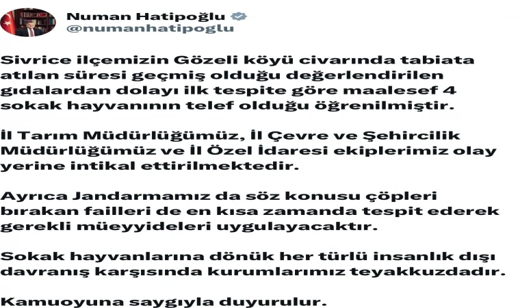 Elazığ'da sokak hayvanlarına zarar verilmesi üzerine Vali Hatipoğlu'ndan açıklama