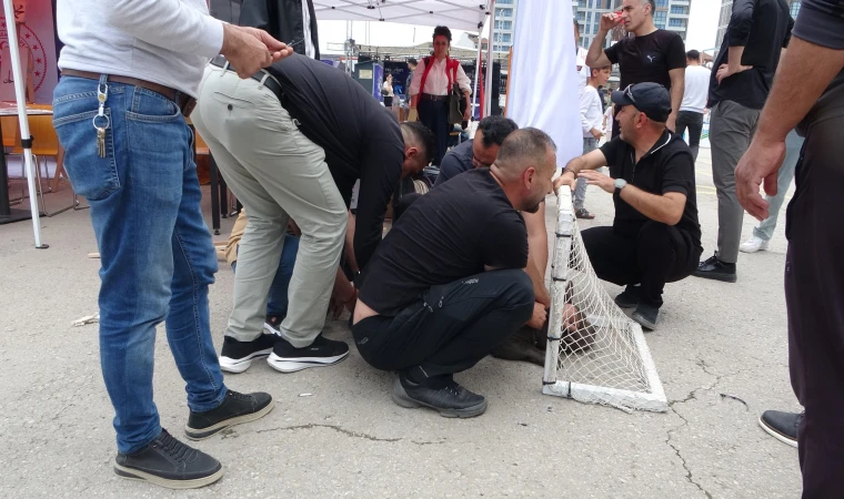 Malatya'da etkinlikte pitbull dehşeti: Bir kadın yaralandı