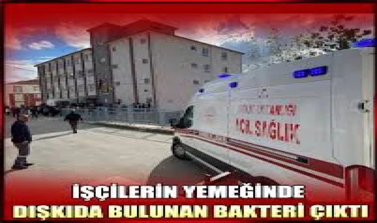 Çorum’da 736 İşçi Zehirlenme Belirtisiyle Hastaneye Başvurdu: Yemekte E. Coli Bakterisi Tespit Edildi