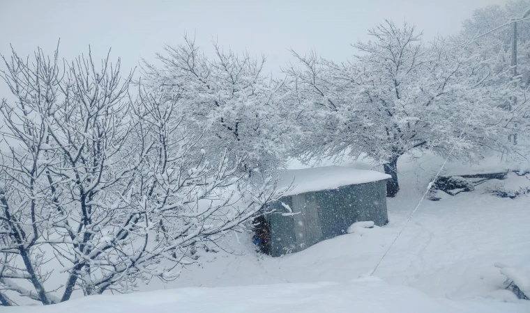 Pütürge'de kar kalınlığı 1 metreye yaklaştı