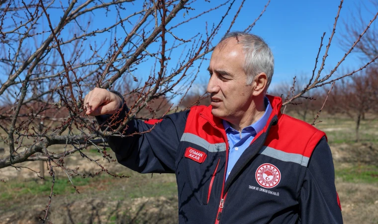Akar: “Kayısıda Bu Yıl Üreticimizin Beklediği Verimi Almayı Umuyoruz”