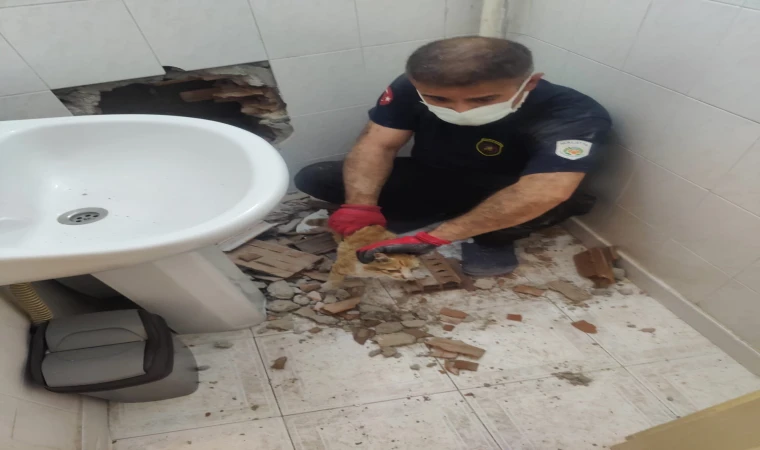 İki Bina Arasına Sıkışan Kedi 2 Saatlik Çalışmayla Kurtarıldı