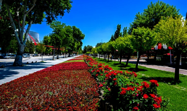 Malatya’da Parklar ve Kavşaklar Çiçeklerle Süslendi