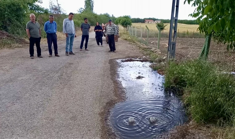 Tarlalara Akan Lağım Suyu Mahalleliyi İsyan Ettirdi