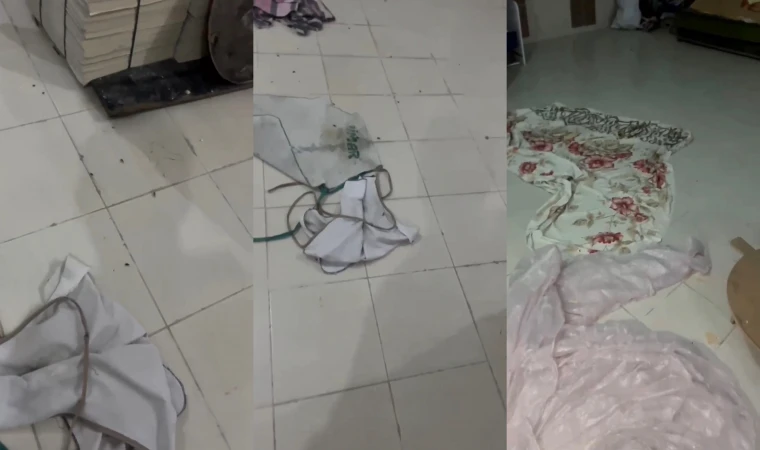 Vatandaş Görüntüledi: Fırında Böcek Var İddiası