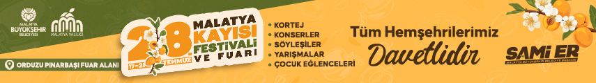 Büyükşehir